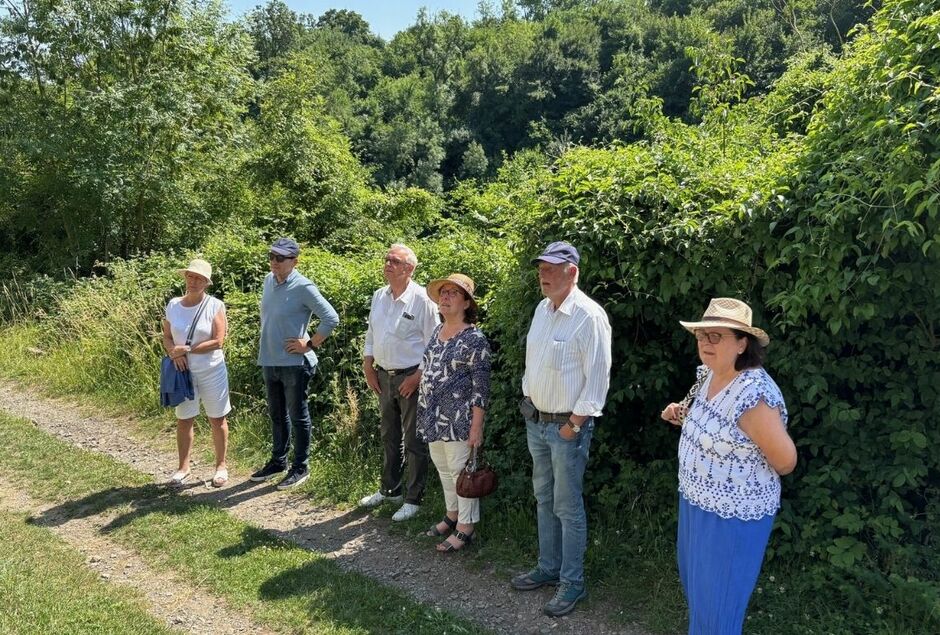 VENEZ DECOUVRIR UN VIGNOBLE, UN CHATEAU AVEC UN DEJEUNER !